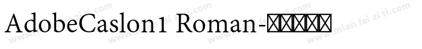 AdobeCaslon1 Roman字体转换